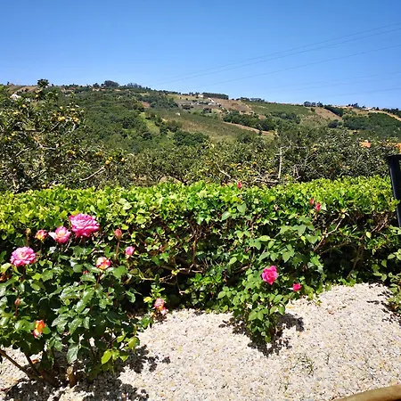 Serenity Views, Silver Coast, Pt * Bombarral