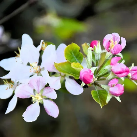 Serenity Views, Silver Coast, Pt