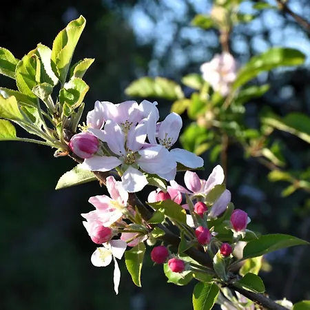 Serenity Views, Silver Coast, Pt בומברל