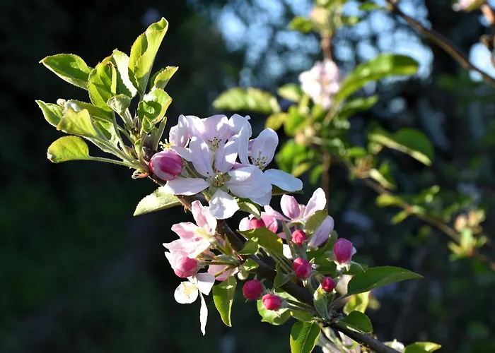 Serenity Views, Silver Coast, Pt Bombarral