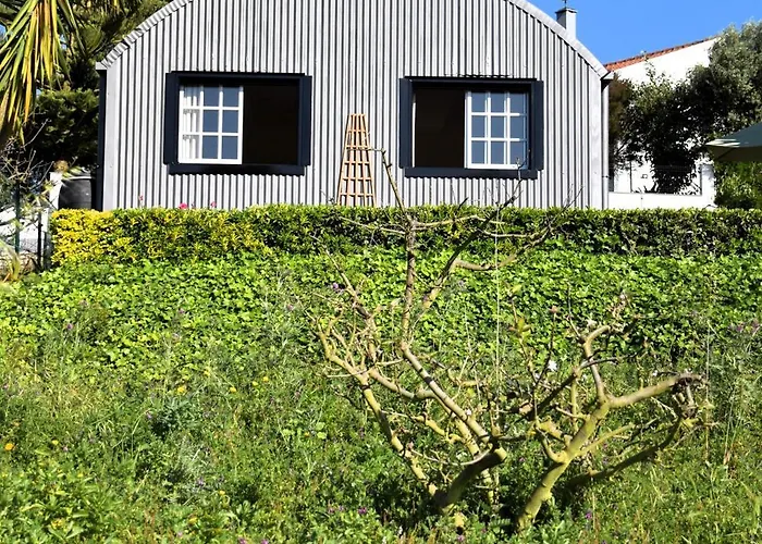 Casa de Férias Serenity Views, Silver Coast, Pt